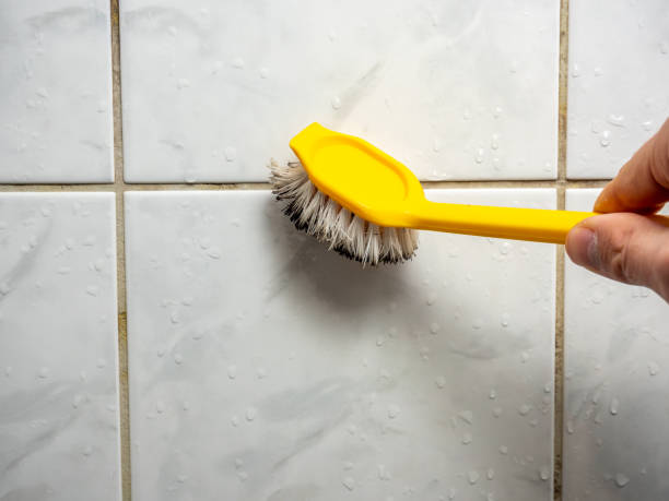 Reliable Gold Beach, OR Mold Remediation Solutions