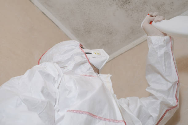 Best Mold Testing and Inspection Services in Gold Beach, OR